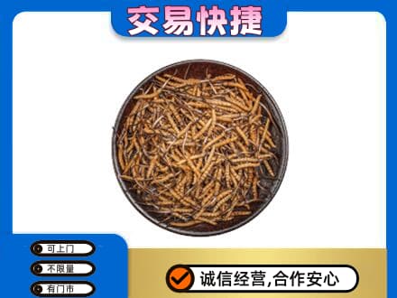 岳阳高价回收散虫草